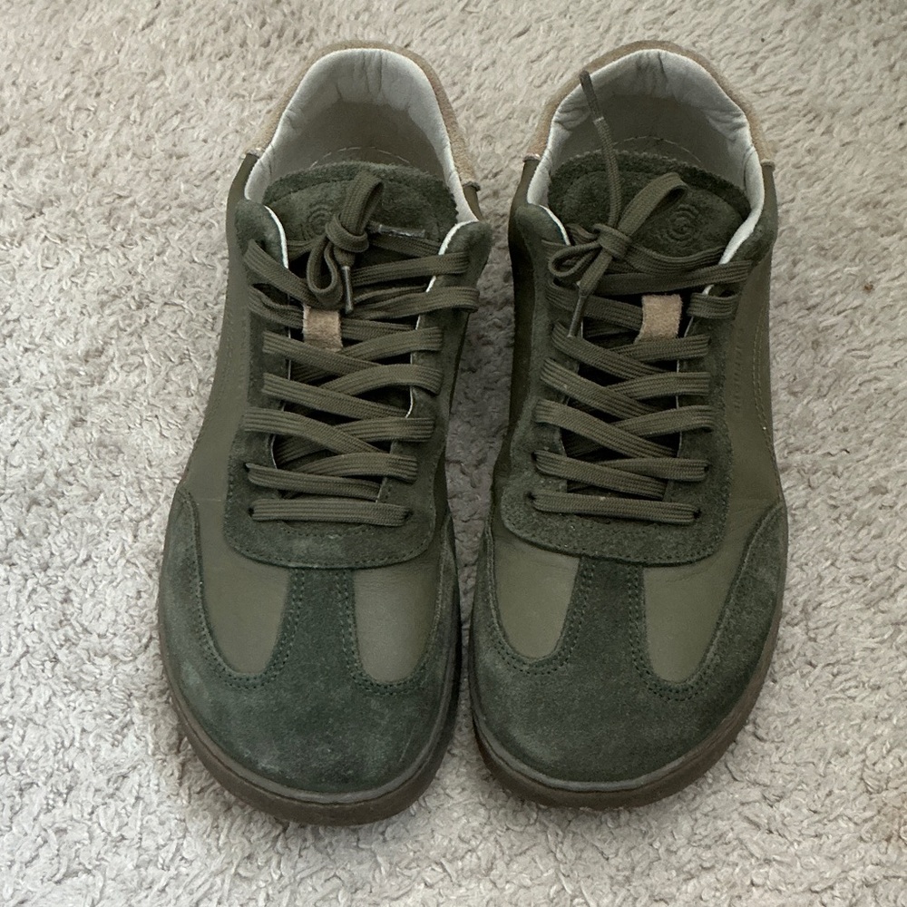Panama olive